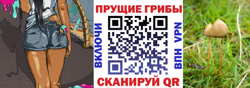Псилоцибиновые грибы ЛСД как найти закладки Далматово