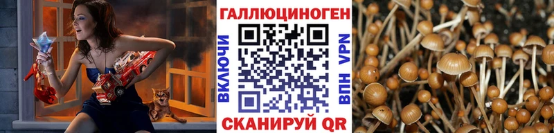 Псилоцибиновые грибы мицелий Далматово